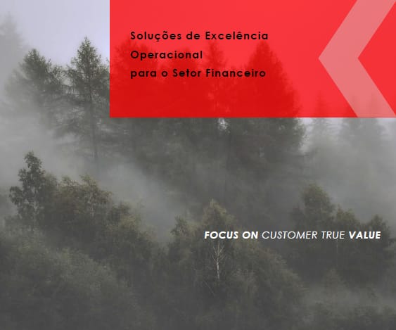 Setor Financeiro, serviços de consultoria operacional